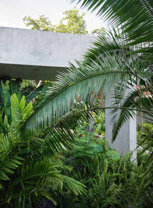 Pompey Jamaica / Gia Wolff & Freecell Architecture