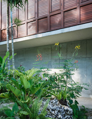 Pompey Jamaica / Gia Wolff & Freecell Architecture