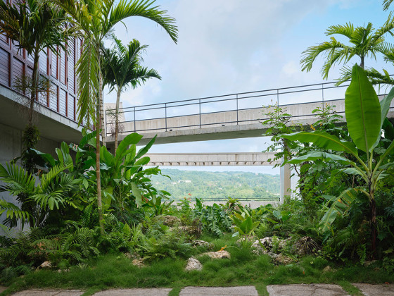 Pompey Jamaica / Gia Wolff & Freecell Architecture