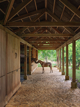 Pompey Jamaica / Gia Wolff & Freecell Architecture