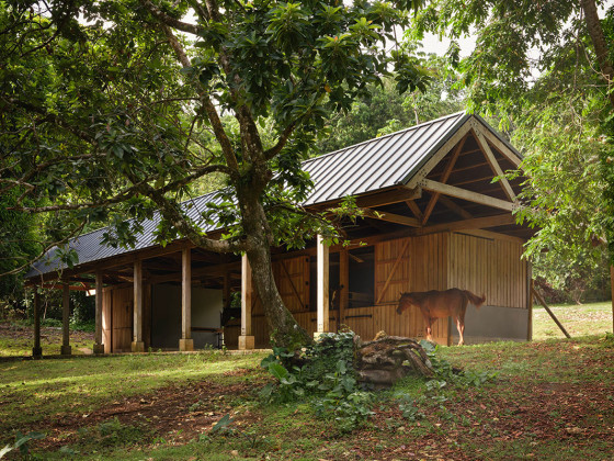 Pompey Jamaica / Gia Wolff & Freecell Architecture