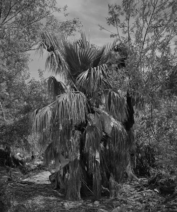 Los Angeles Basin